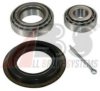 OPEL 1604286 Wheel Bearing Kit